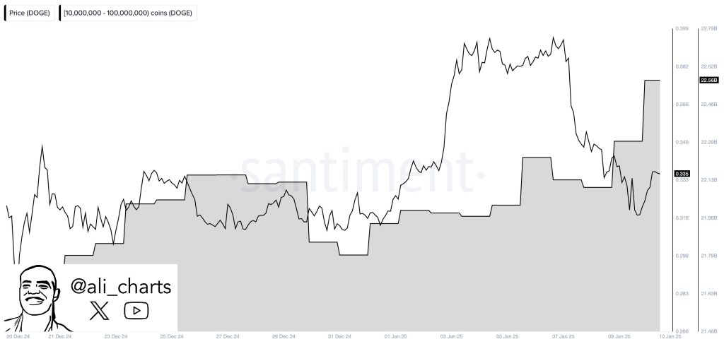 Dogecoin Price