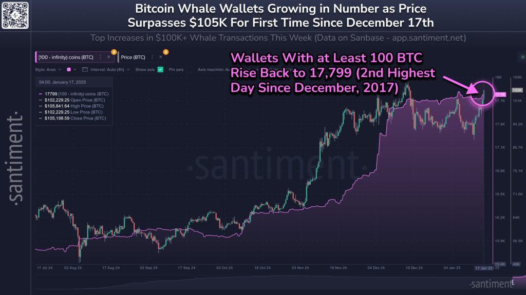 BTC Whale Wallets