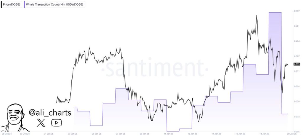 Dogecoin transactions chart