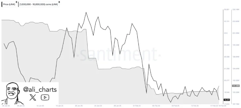 Chainlink Whale Activity Chart