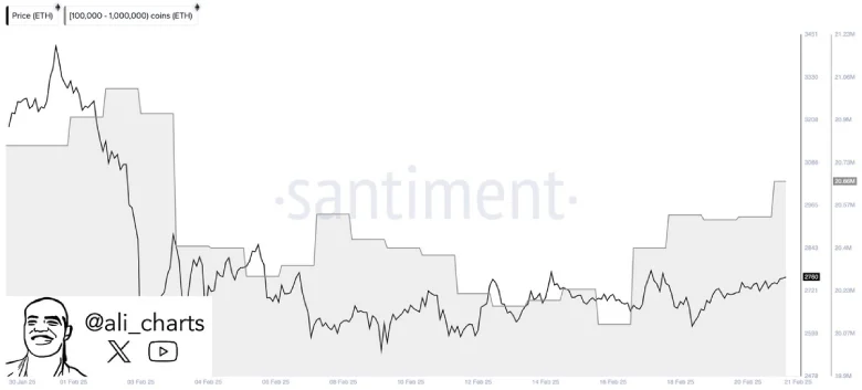 Ethereum Whale Buying Chart