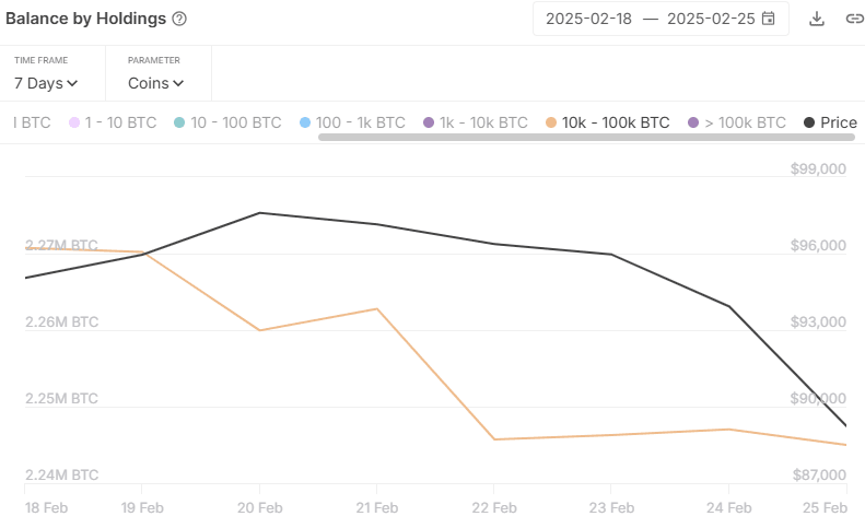 Bitcoin Holdings