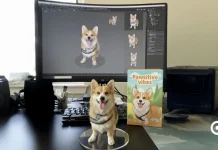 Expert Reveals Timeline for Bitwise’s Dogecoin ETF Launch Expert Reveals Timeline for Bitwise's Dogecoin ETF Launch