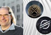 Ripple’s Schwartz Breaks Silence on Epstein Claims Involving XRP Ripple’s Schwartz Breaks Silence on Epstein Claims Involving XRP
