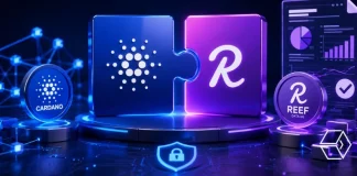 Cardano Foundation Partners With Reef Data eG for On-Chain Financial Reporting Cardano Foundation Partners with Reef Data eG to Bring Transparent Financial Reporting On-Chain